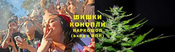 сатива Михайловка