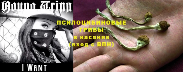 сатива Михайловка